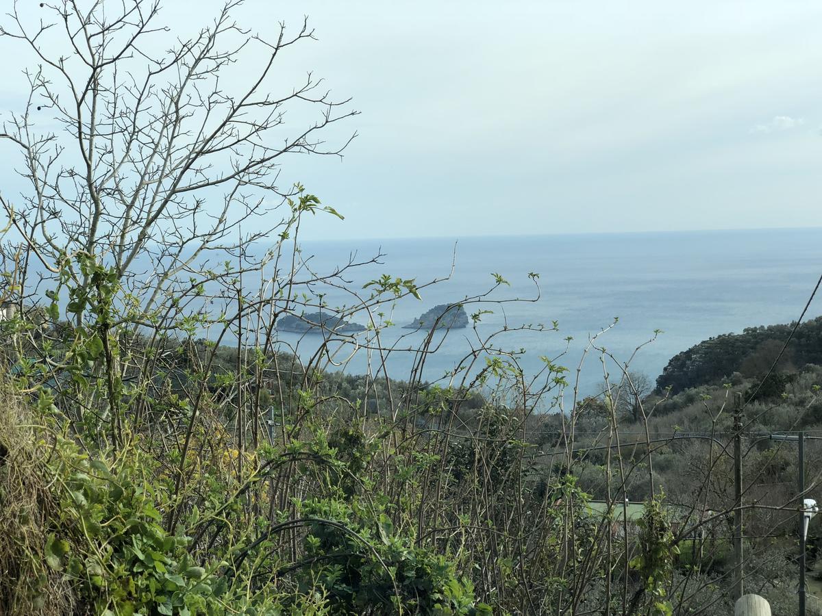 Casa Vacanze Villa San Francesco Sant'Angelo  Luaran gambar